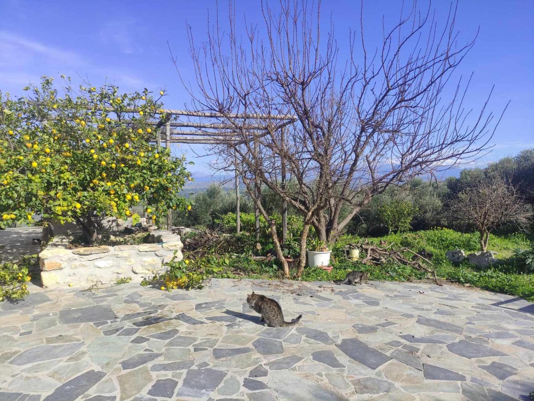 Aletraki -Off-Grid Retreat Above Heraklion, Peaceful Views Archanes Exterior photo